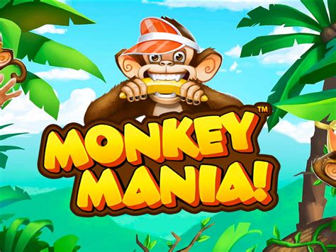 Monkey bingo casino app